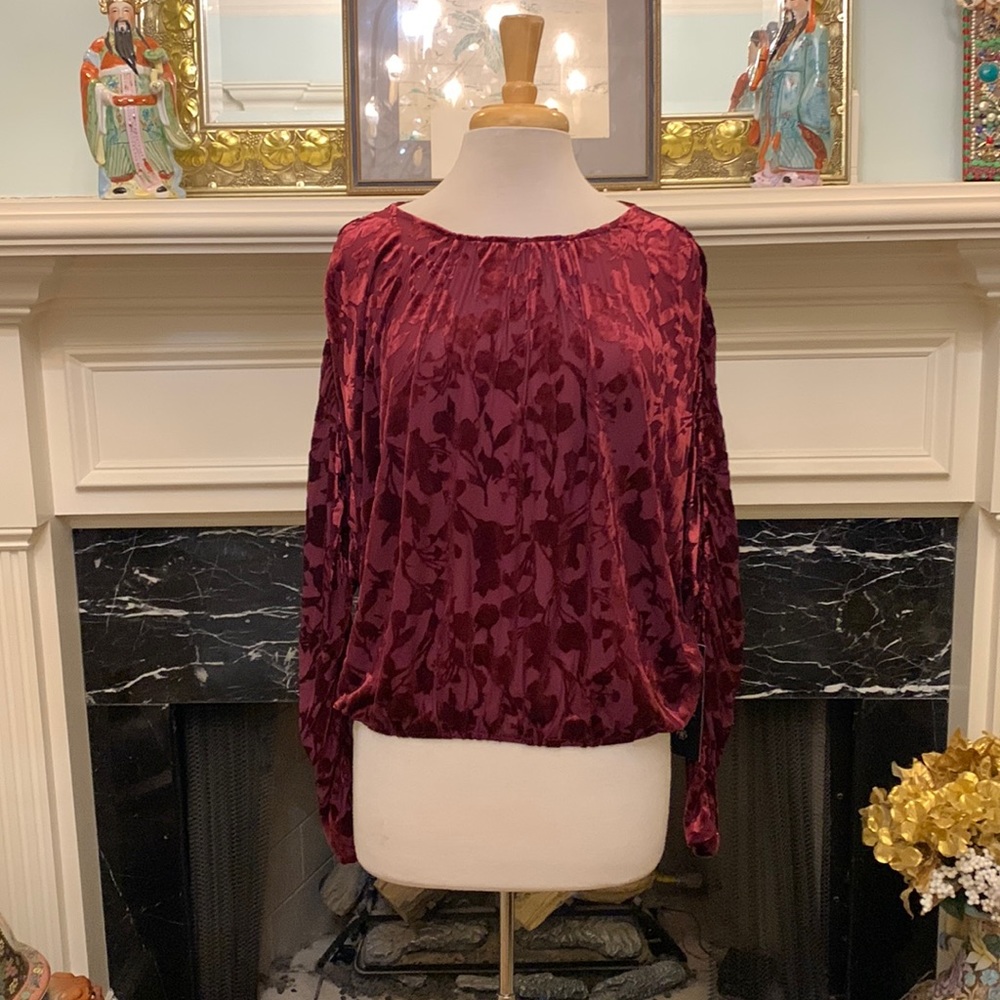 NWT Burgundy cut velvet, ruched sleeve, elastic waist top
